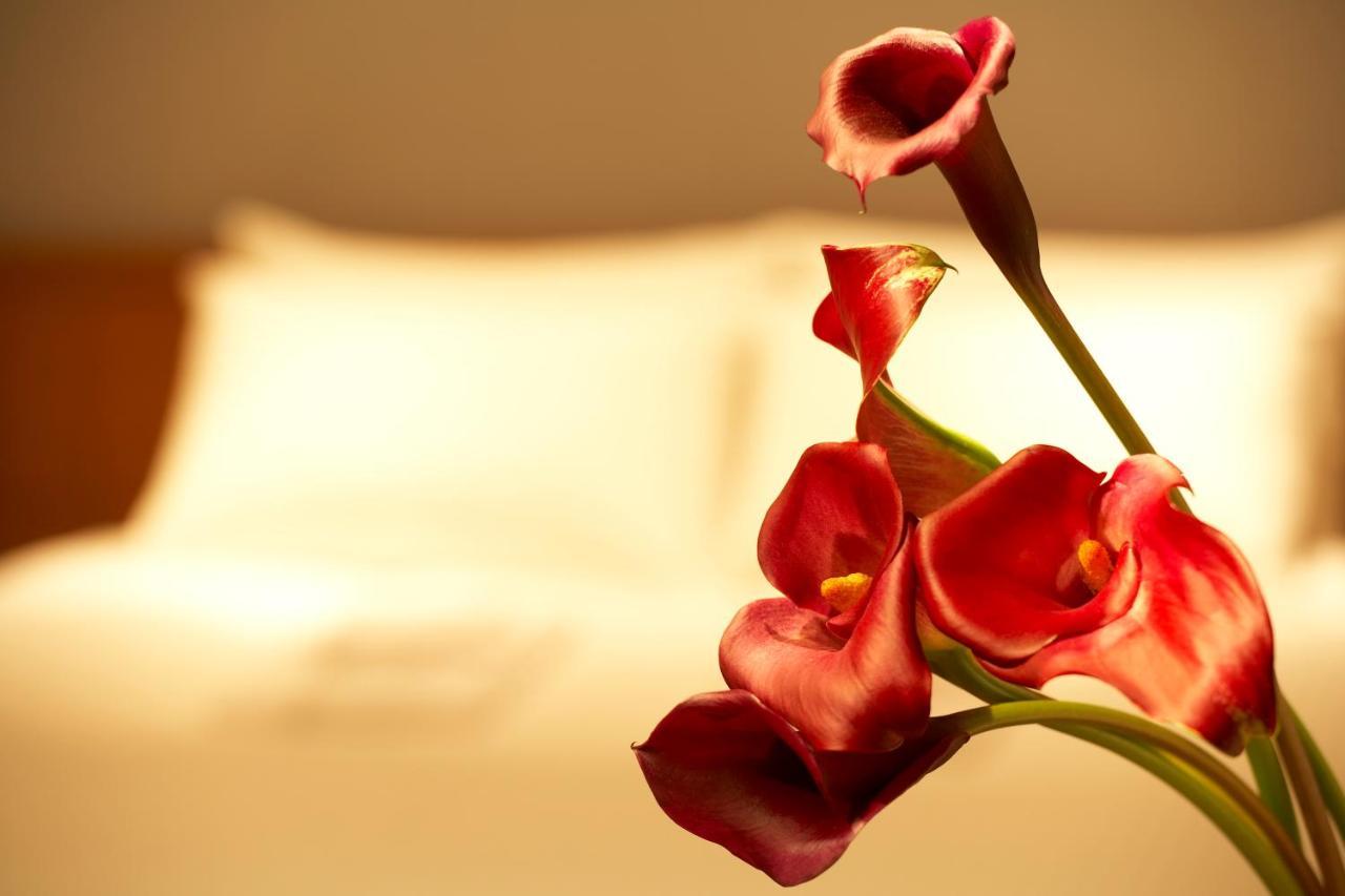 The B Hachioji Hotell Rom bilde